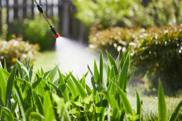 24/7 Emergency Mosquito Control experts in St. Leon, IN