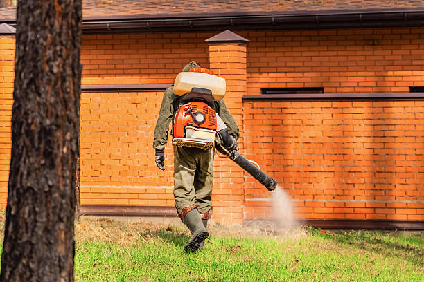 Top rated local Mosquito Control specialists in St. Leon, IN